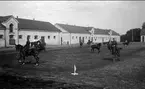 Dressyrridning på fyrkantspår på stallplan. I bakgrunden hingststallarna. Strömsholm 1910-11.