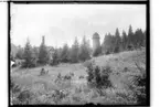 Garphytte Sanatorium, Garphyttan.
Vattentorn och en byggnad.