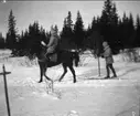 Holmö-manövern den 4-9 mars 1908. Hamilton K 2, Öberg K 5 förbindelsekarlar.