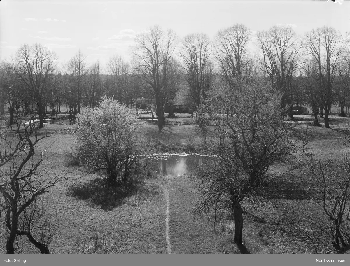 "Södermanland. Svartlösa hd.Brännkyrka sn. Örby slott. Utsikten över trädgården från manbyggnadens övre våning."