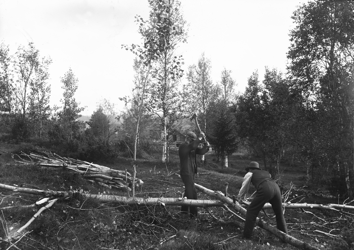 "Värmland. Jösse hd. Mangskog sn.Bjurbäcken. Klyvning av gärdsle till gärdesgård."