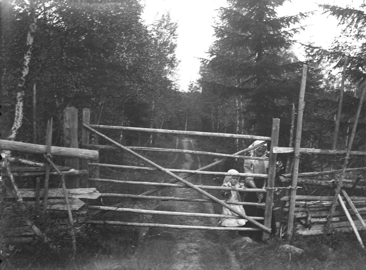 "Värmland. Jösse hd. Mangskog sn.Bjurbäcken. Grind. En vidja är fästad vid hitre stören närmast grinden. I andra ändan af vidjan sitter en käpp, med hvilken grinden stänges."