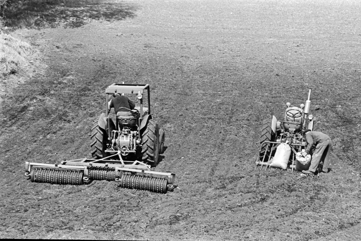 Sælid gard, våronn,traktor. Vang H. 