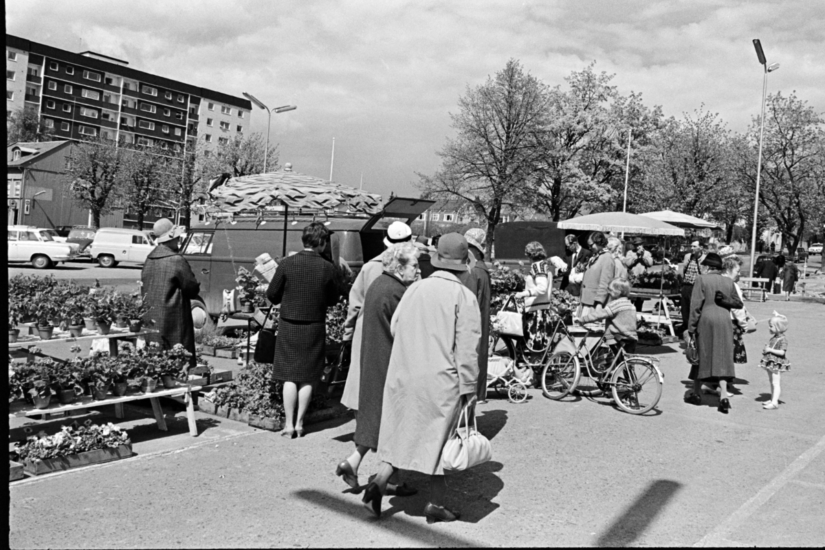 Torgboder, torghandel, Stortorget, Hamar.