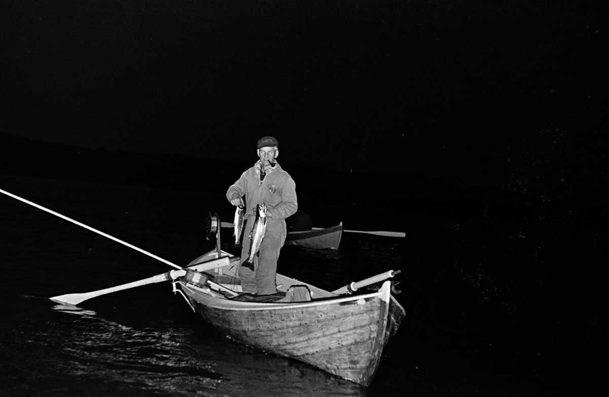 Mjøsfiske,dreggefiske,mjøsørret, robåt, Furnesfjorden. Ole Birkely.