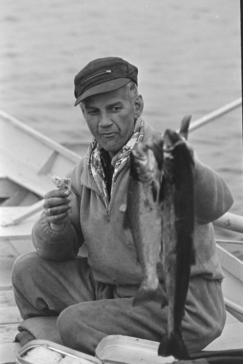 Ole Birkely, Mjøsfiske,dreggefiske,mjøsørret, Furnesfjorden.