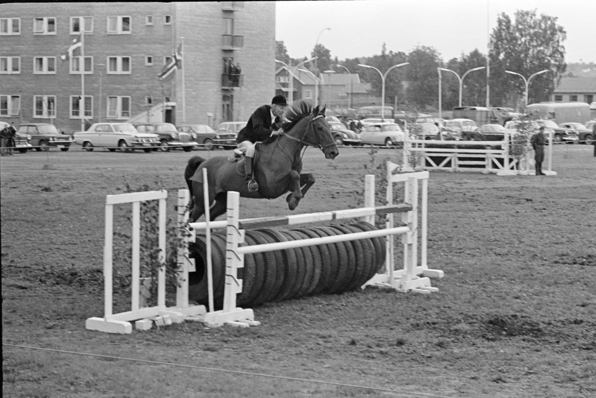 Ridestevne, Utstillingsplassen, hestesport, Hamar. 