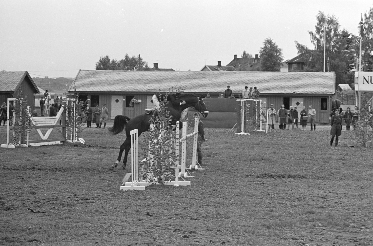 Ridestevne, Utstillingsplassen, hestesport, Hamar. 