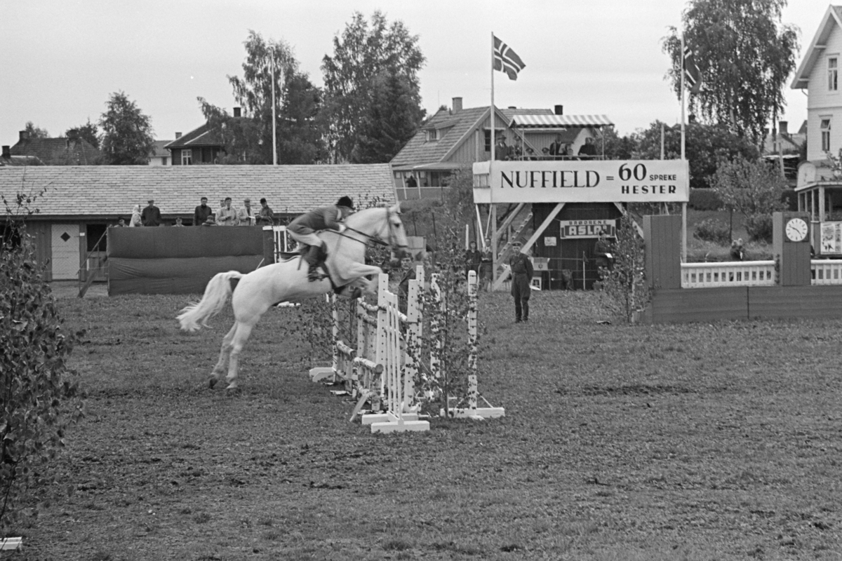 Ridestevne, Utstillingsplassen, hestesport, Hamar. 