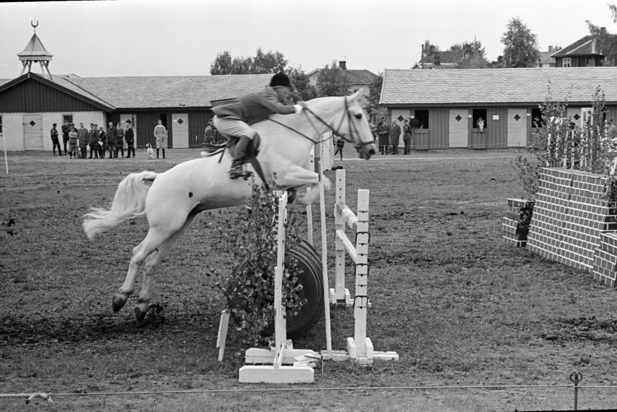 Ridestevne, Utstillingsplassen, hestesport, Hamar. 