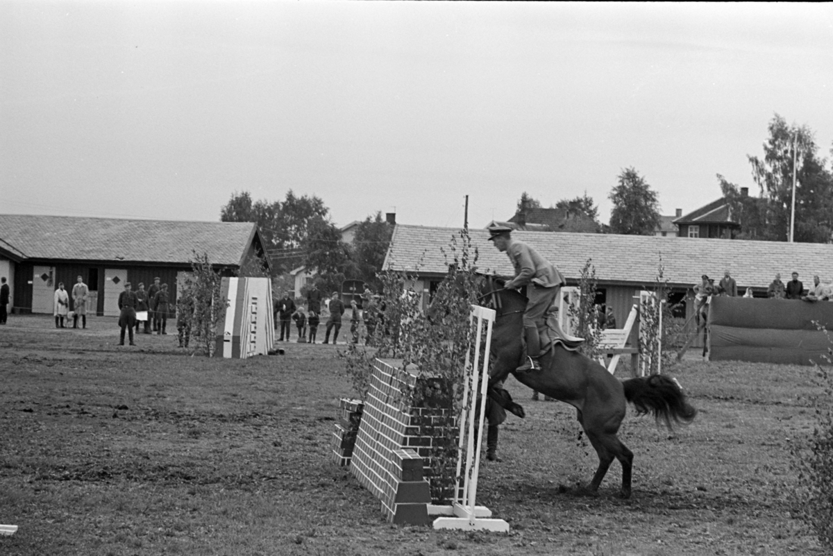 Ridestevne, Utstillingsplassen, hestesport, Hamar. 
