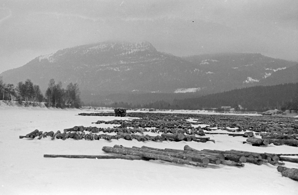 Tømmervelte, vinter, Glomma,  ukjent Østerdal