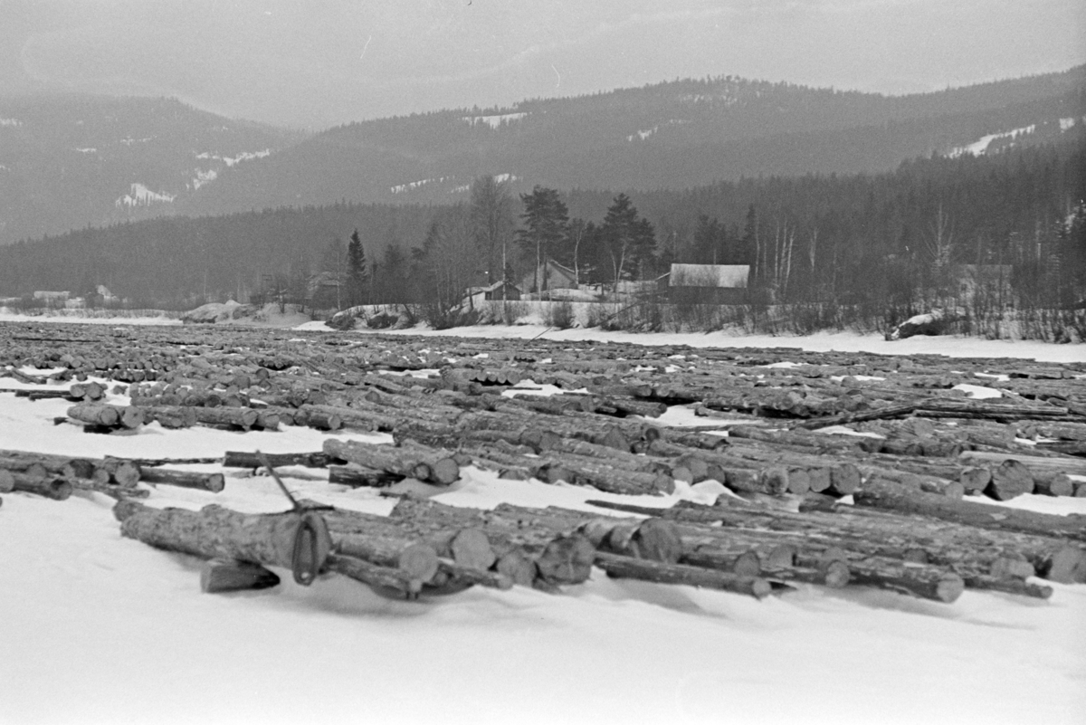 Tømmervelte, vinter, Glomma,  ukjent Østerdal