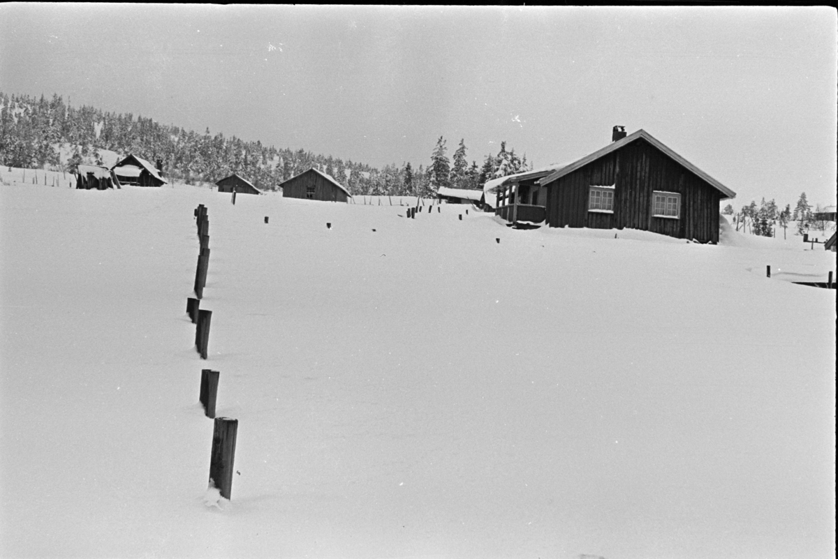Budor, Løten, hytte, vinter,