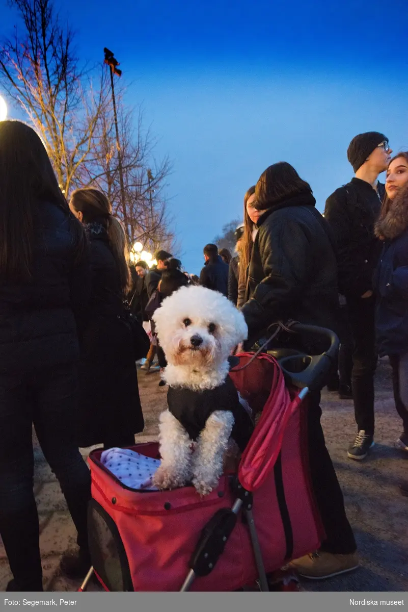 Eldfesten, Persiskt nyår, i Kungsträdgården i Stockholm 2017.