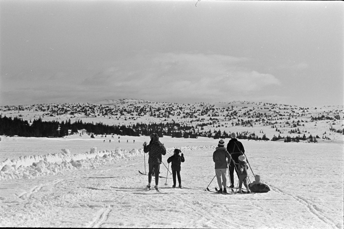 Sjusjøen, skiløpere,turister,barnefamillie, pulk.