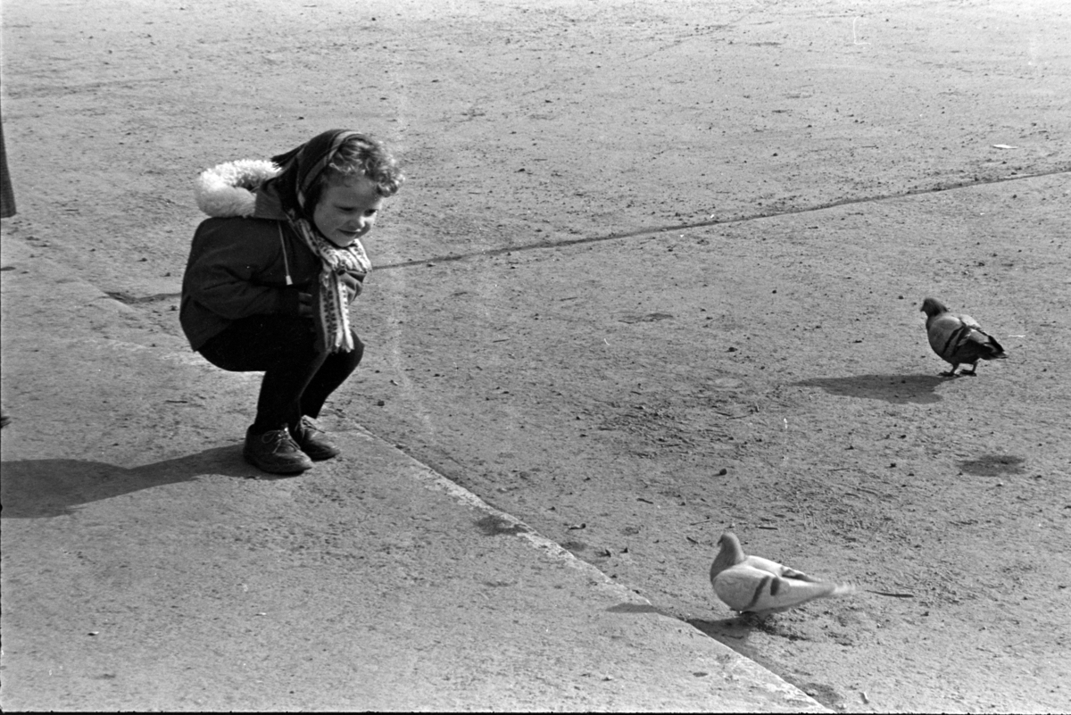 Østre torg, Hamar. Barn,duer.