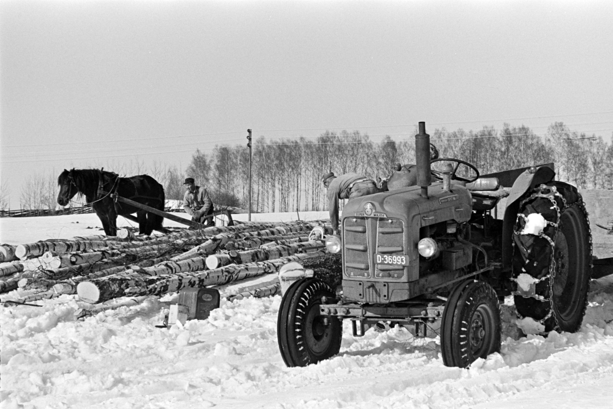 Tømmerlunning, Mengshoel,velteplass,hest, hesteredskap, skogsarbeider,traktor,Fordson Super Major D-36993.
