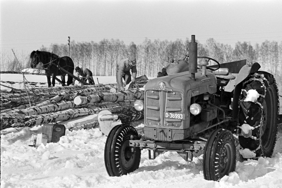 Tømmerlunning, Mengshoel,velteplass,hest, hesteredskap, skogsarbeider,traktor,Fordson Super Major D-36993.
