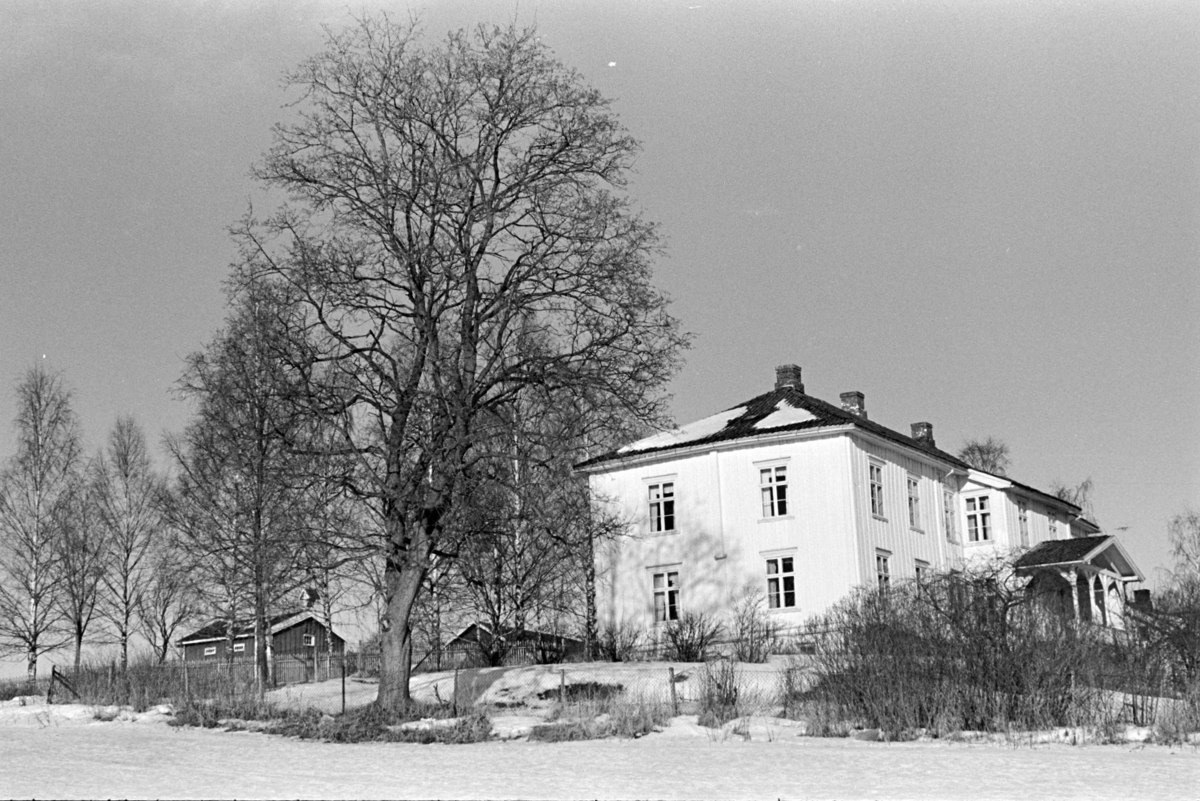 Vang Prestegard.