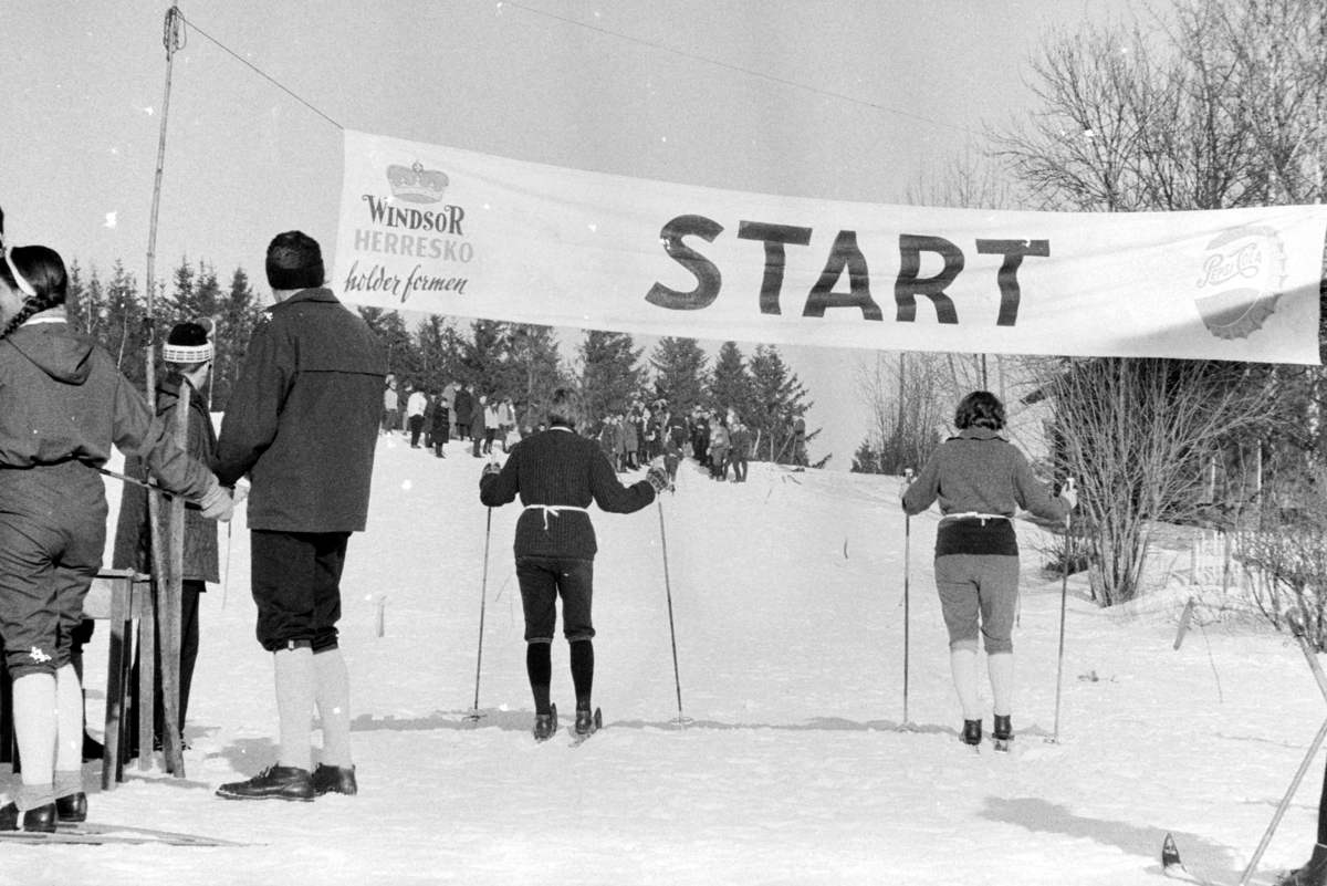 ØM , østlandsmesterskapet på ski for lærerskoler, arrangert av Hamar  lærerskoles  Idrettslag, skirenn, langrenn. Alujordet.