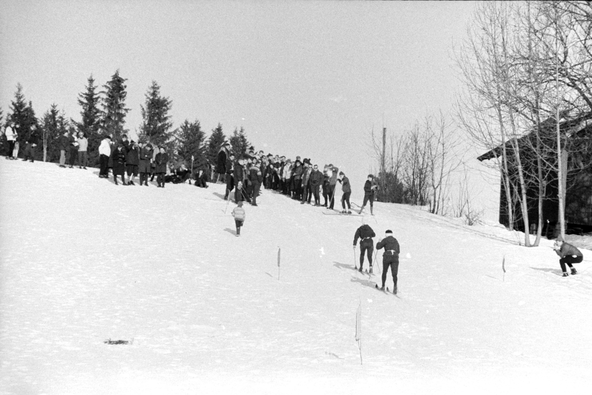 ØM , østlandsmesterskapet på ski for lærerskoler, arrangert av Hamar  lærerskoles  Idrettslag, skirenn, langrenn. Alujordet.