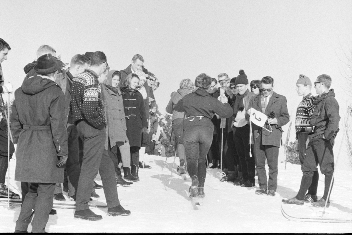 ØM , østlandsmesterskapet på ski for lærerskoler, arrangert av Hamar  lærerskoles  Idrettslag, skirenn, langrenn. Alujordet.