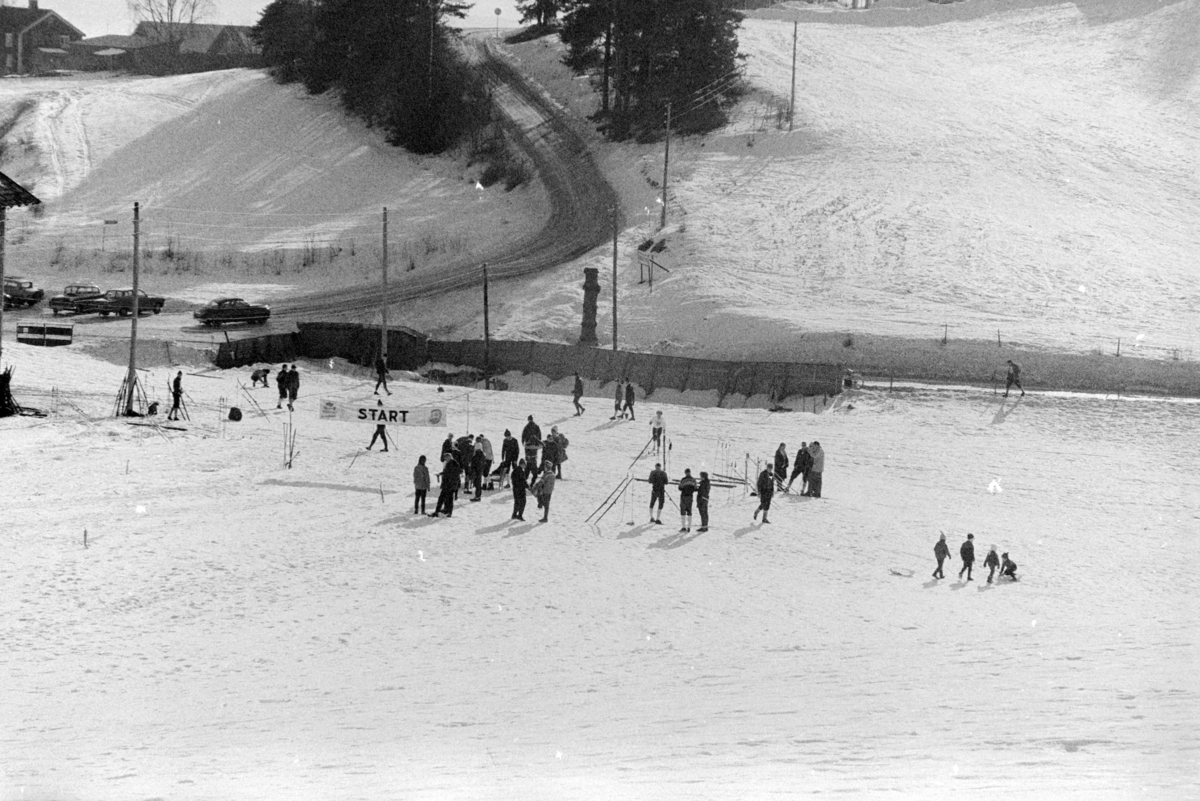 ØM , østlandsmesterskapet på ski for lærerskoler, arrangert av Hamar  lærerskoles  Idrettslag, skirenn, langrenn. Alujordet.