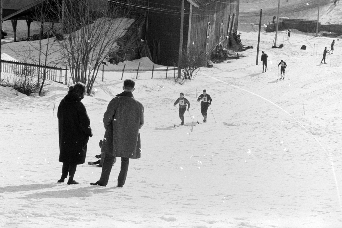 ØM , østlandsmesterskapet på ski for lærerskoler, arrangert av Hamar  lærerskoles  Idrettslag, skirenn, langrenn. Alujordet.