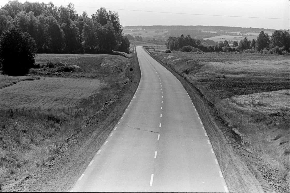 E6, Furnes ?, bilfritt. Bilvei.