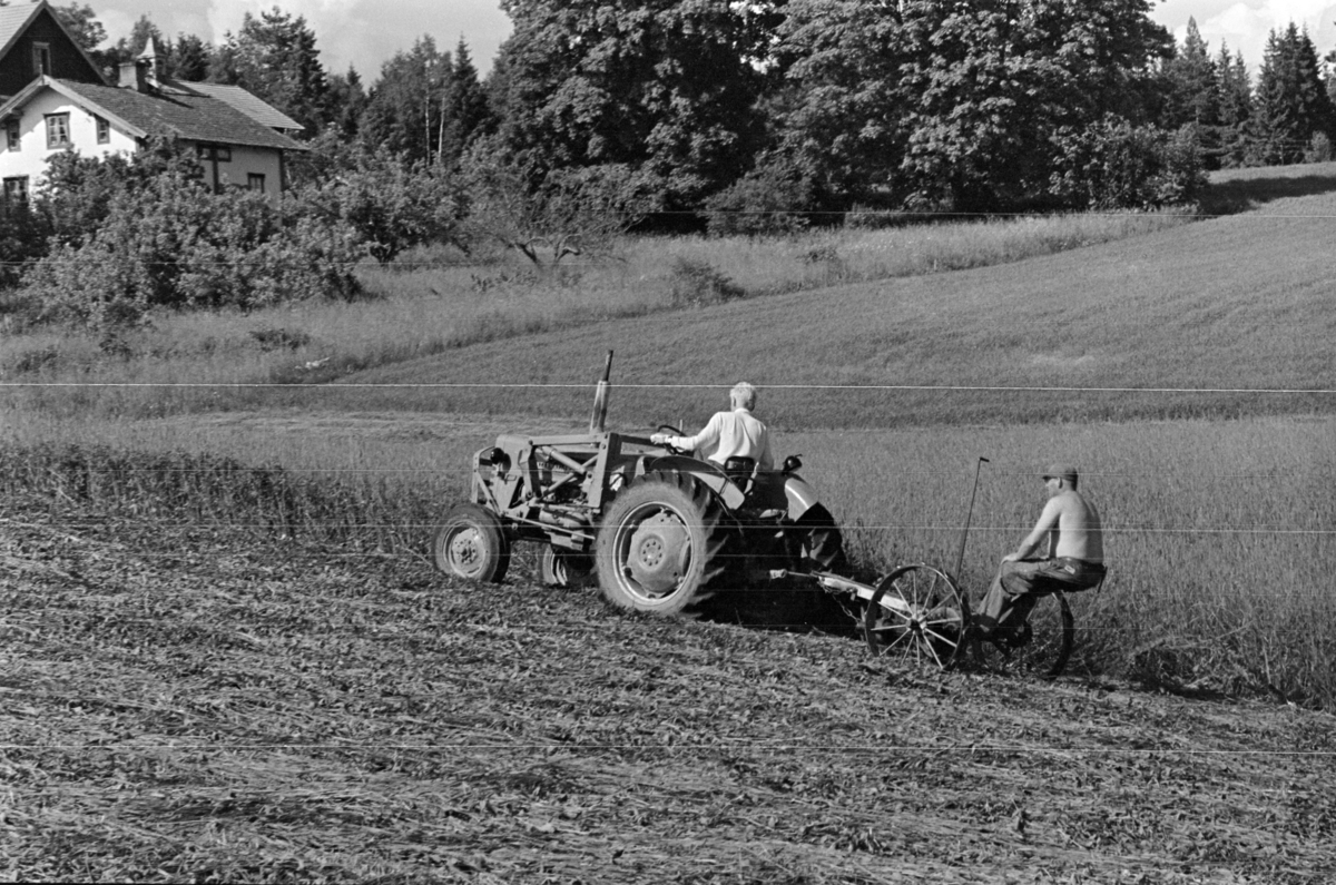 Alu, Alhaug østre, slåttonn,traktor,slåmaskin,
