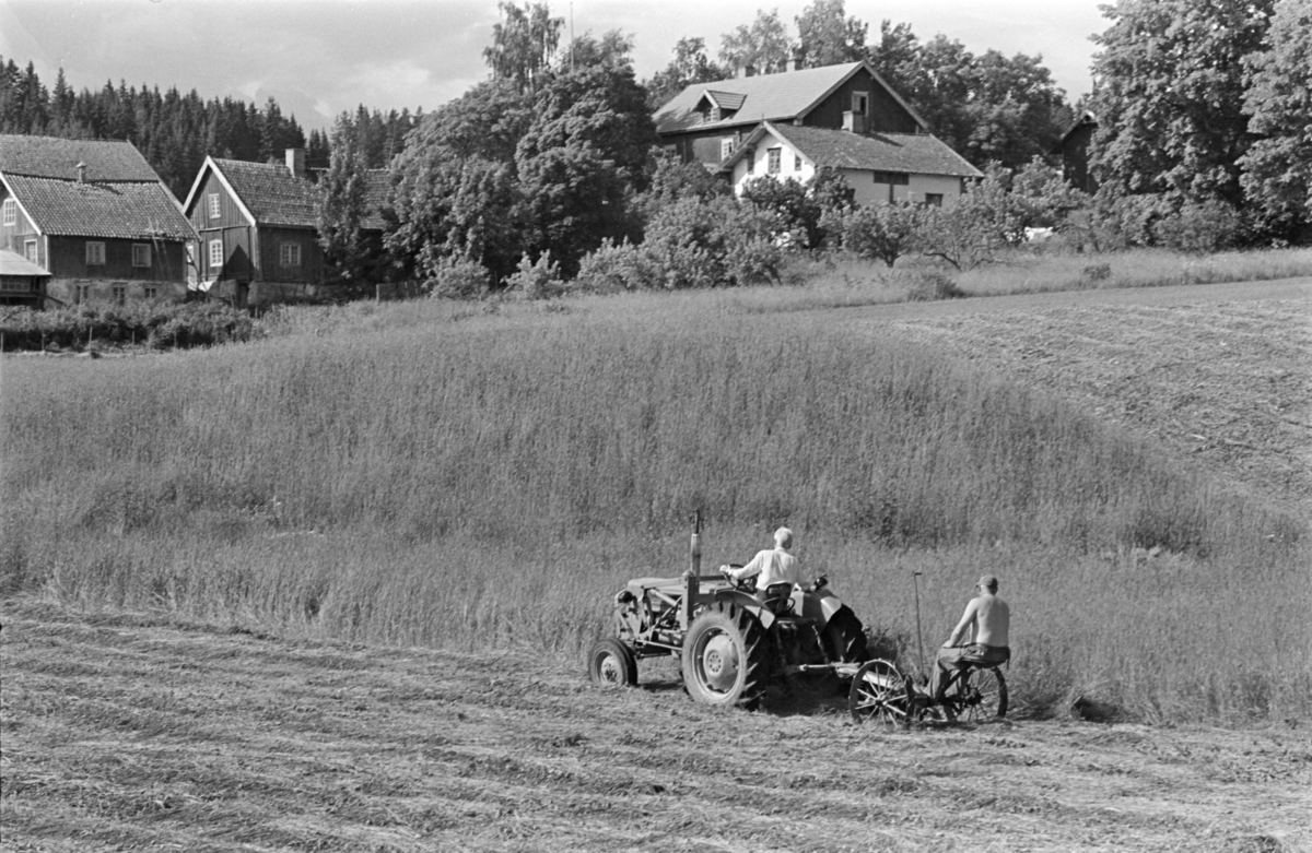 Alu, Alhaug østre, slåttonn,traktor,slåmaskin,