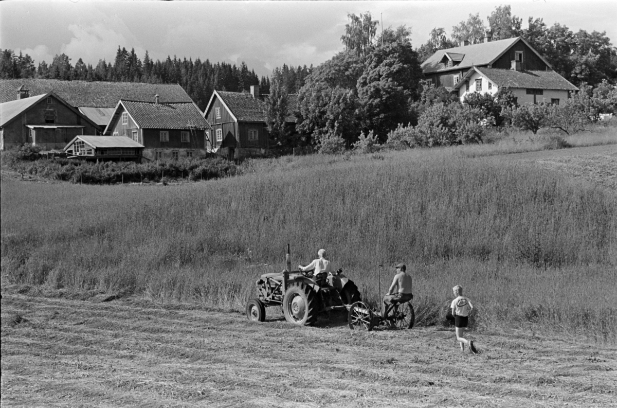 Alu, Alhaug østre, slåttonn,traktor,slåmaskin,