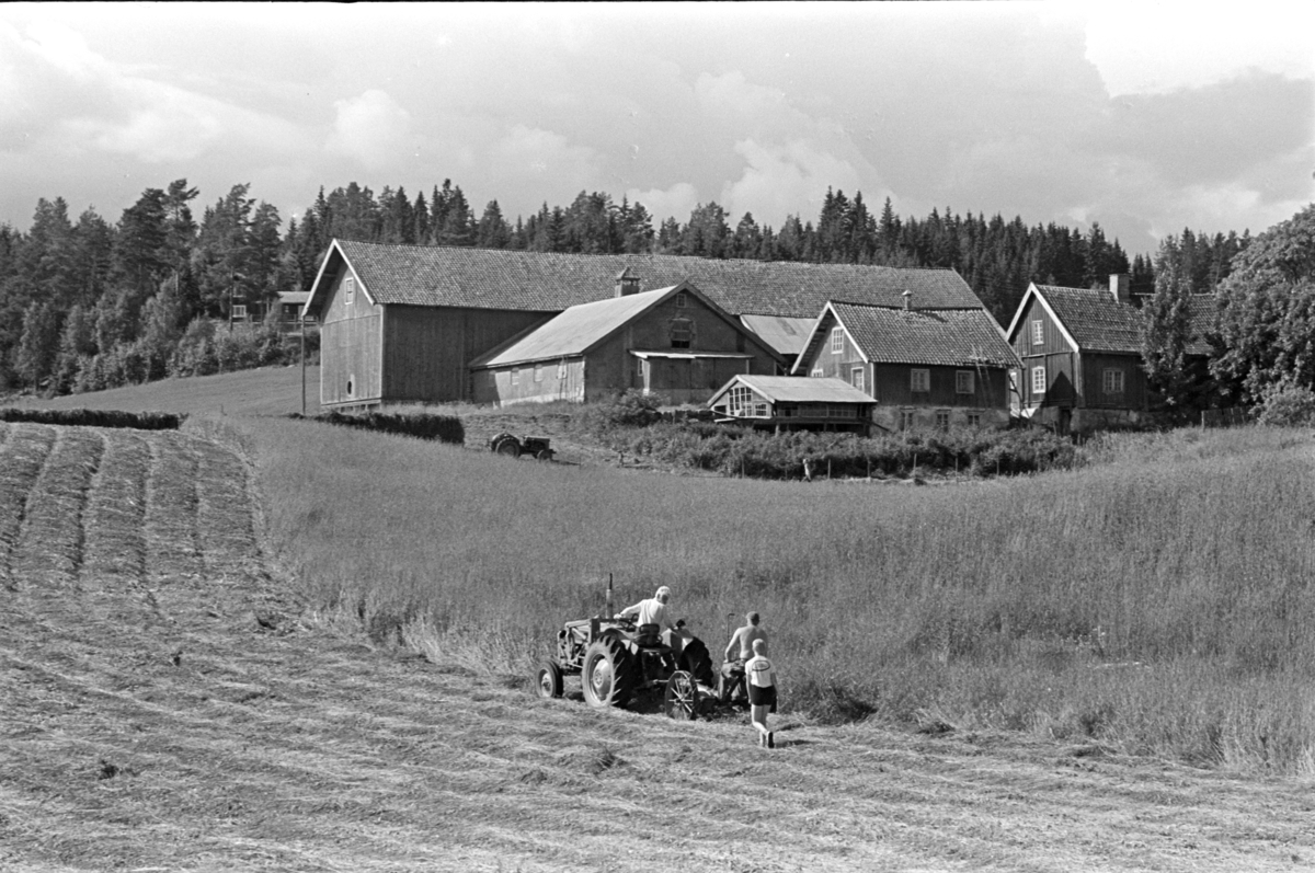 Alu, Alhaug østre, slåttonn,traktor,slåmaskin,