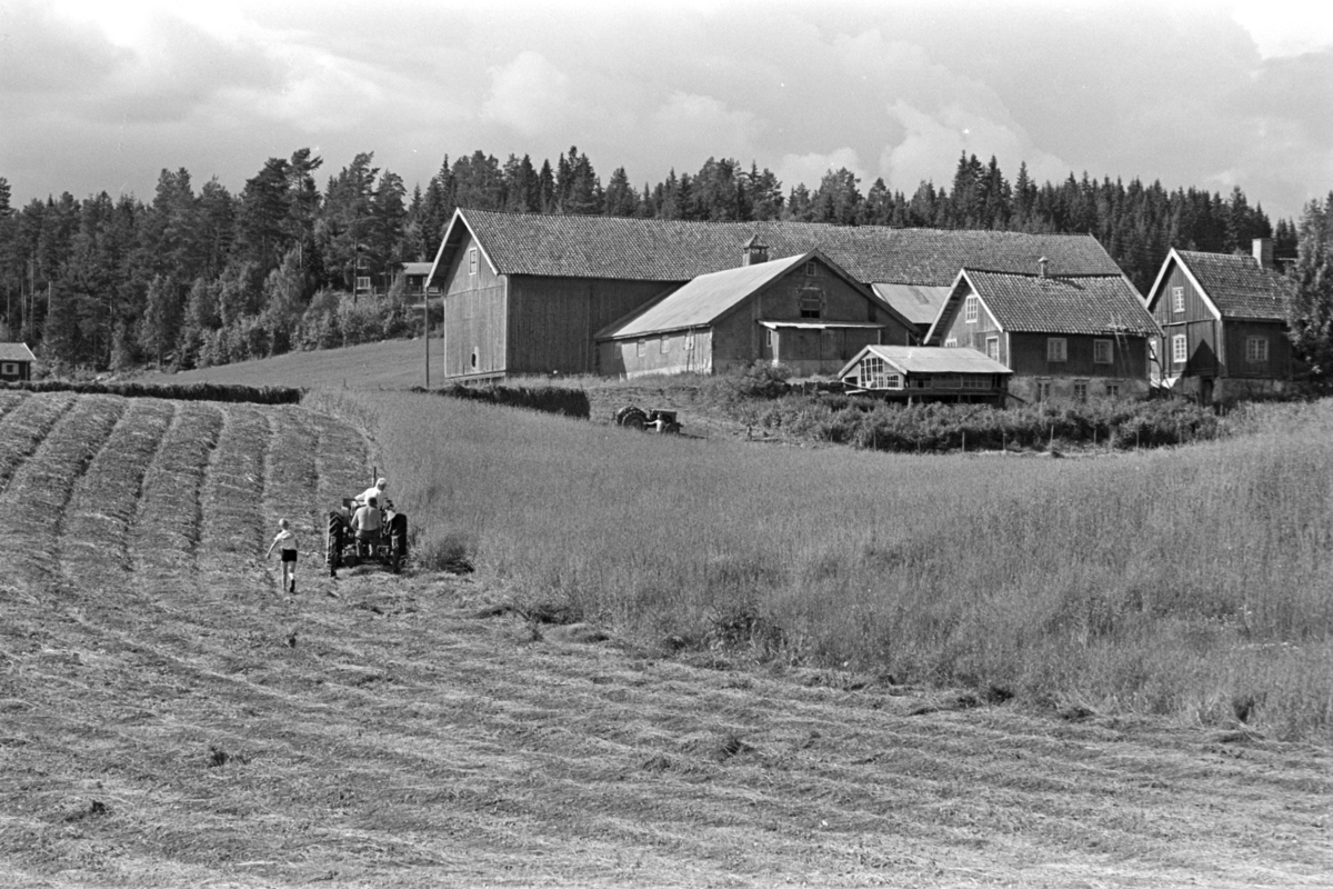 Alu, Alhaug østre, slåttonn,traktor,slåmaskin,