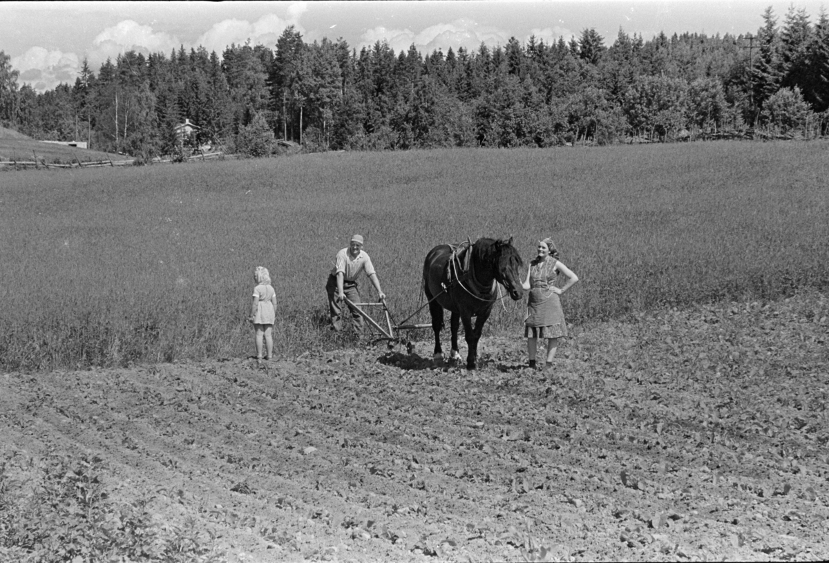 Hypping av åker, hest og plog, mann,kone, barn, ukjent sted Stange. Jordbruk.