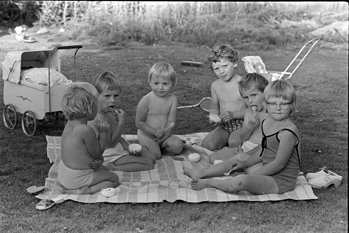 Barn, iskrem, pledd, sommer, barnevogn.