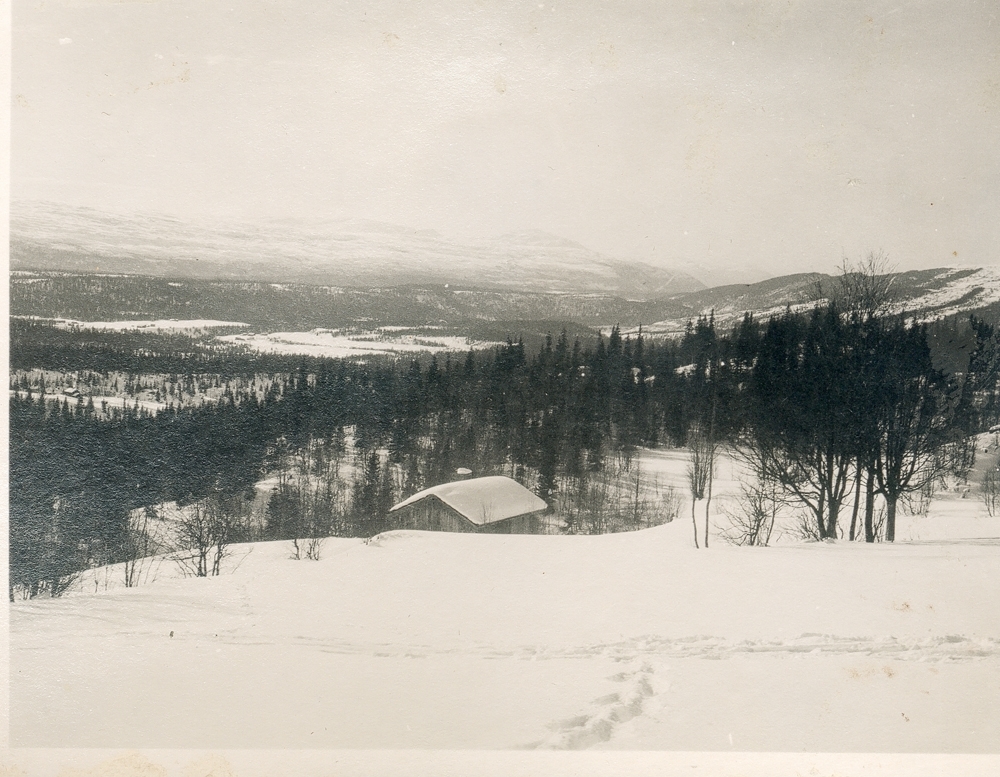Oversiktsbilde. Vinter. Skog. Fjell og daler.