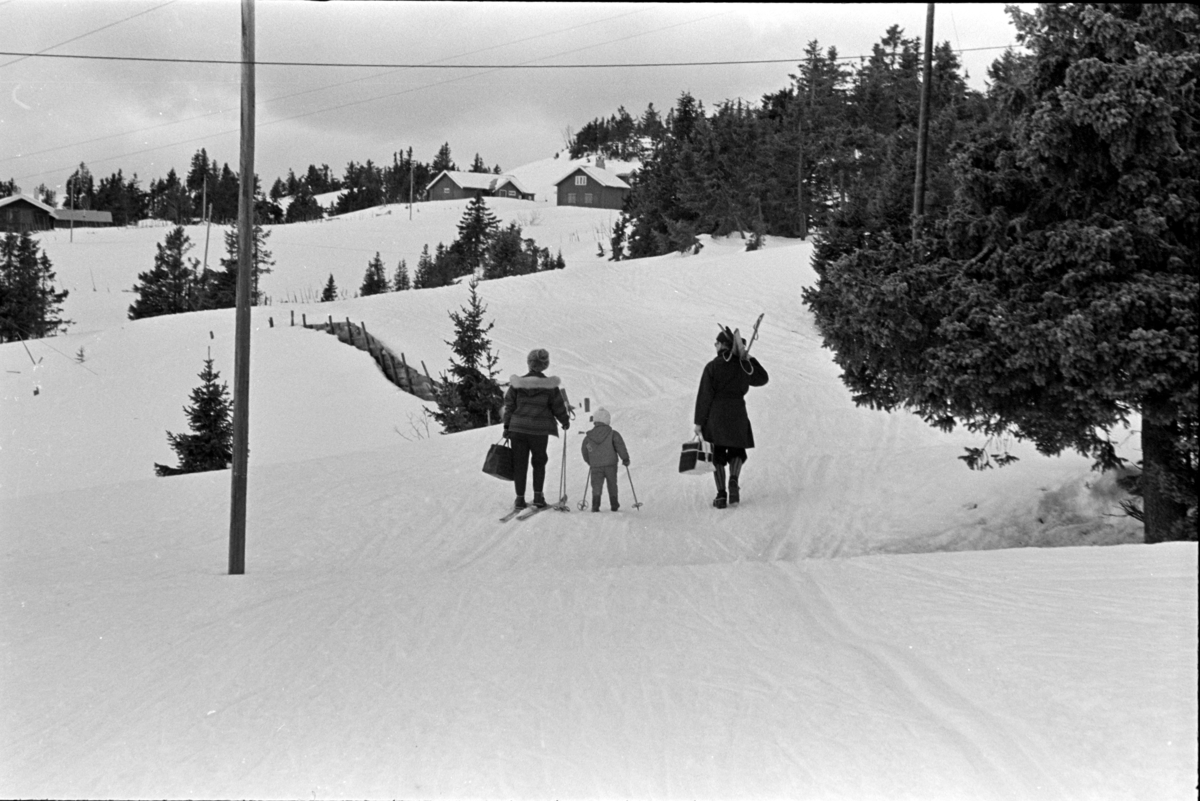 Sjusjøen,vinter,hytter,skiturister.