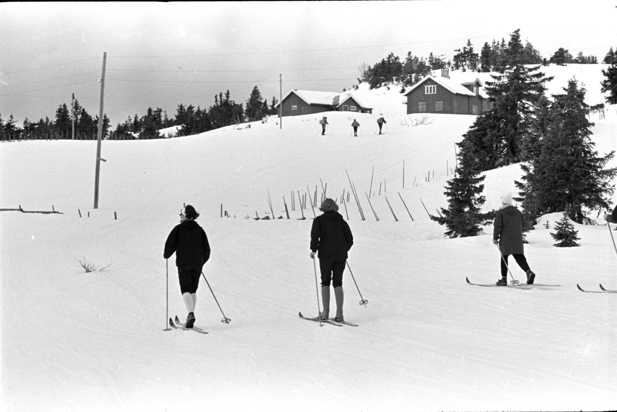 Sjusjøen,vinter,hytter,skiturister.