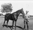 Sven Littorin och stamhästen 91/2 på Ränneslätt maj 1922.