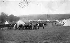 Bivack vid Fagersanna under sommarmarsch 1931. Livhusarernas kamratf. Stockholm.