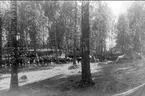 Bivack vid Gudhammar under sommarmarschen 1947.