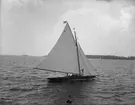 Segelbåt.