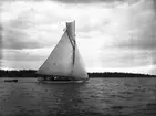 Segelbåt.