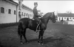 Löjtn Gustaf Chrispin Löwenhjelm K 7 på Reichswar. Strömsholmselev 1915-16.