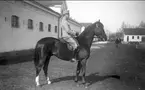 Strömsholmskursen 1916. Ridning på Strömsholm på Stallplan mellan lilla ridhuset (till vänster), officersstallet (till höger), hingstridhuset och hingststallet.