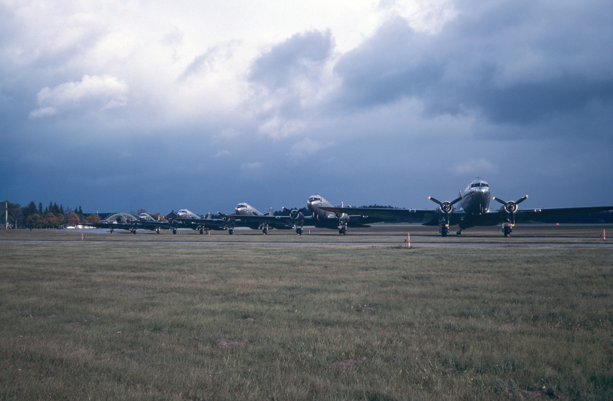 Flygvapnets alla sex flygplan TP 79 på Malmens flygfält den 8 september 1981. Flygplanen uppställda på fältet, vid uttaxning och start från flygfältet och flygande i luften. Serie om 20 bilder.