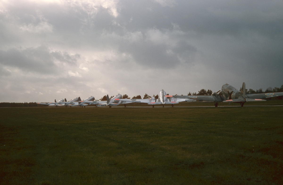 Flygvapnets alla sex flygplan TP 79 på Malmens flygfält den 8 september 1981. Flygplanen uppställda på fältet, vid uttaxning och start från flygfältet och flygande i luften. Serie om 20 bilder.