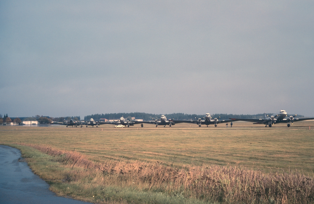 Flygvapnets alla sex flygplan TP 79 på Malmens flygfält den 8 september 1981. Flygplanen uppställda på fältet, vid uttaxning och start från flygfältet och flygande i luften. Serie om 20 bilder.